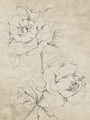 Image Not Available